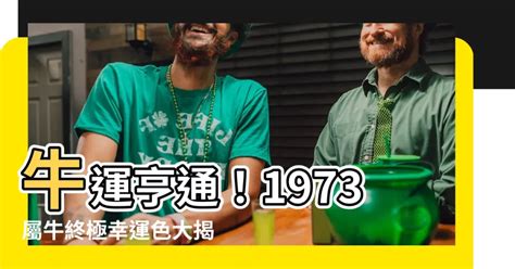 1973屬牛幸運色|1973年属牛人的幸运颜色，能给属牛人带来幸运的颜色